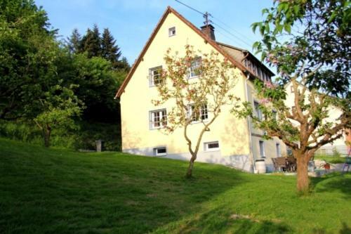 Vila Ferienhaus Hilberath Adenau Exteriér fotografie